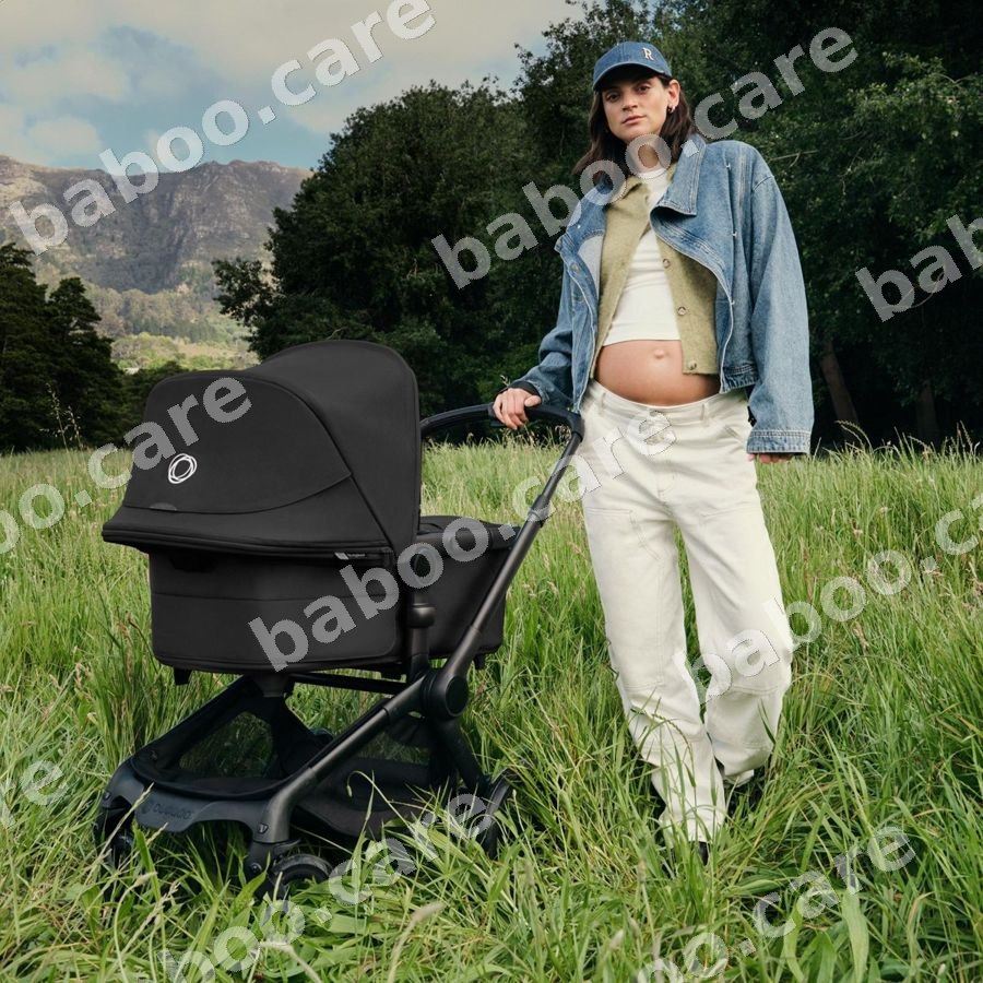 Bugaboo view 4