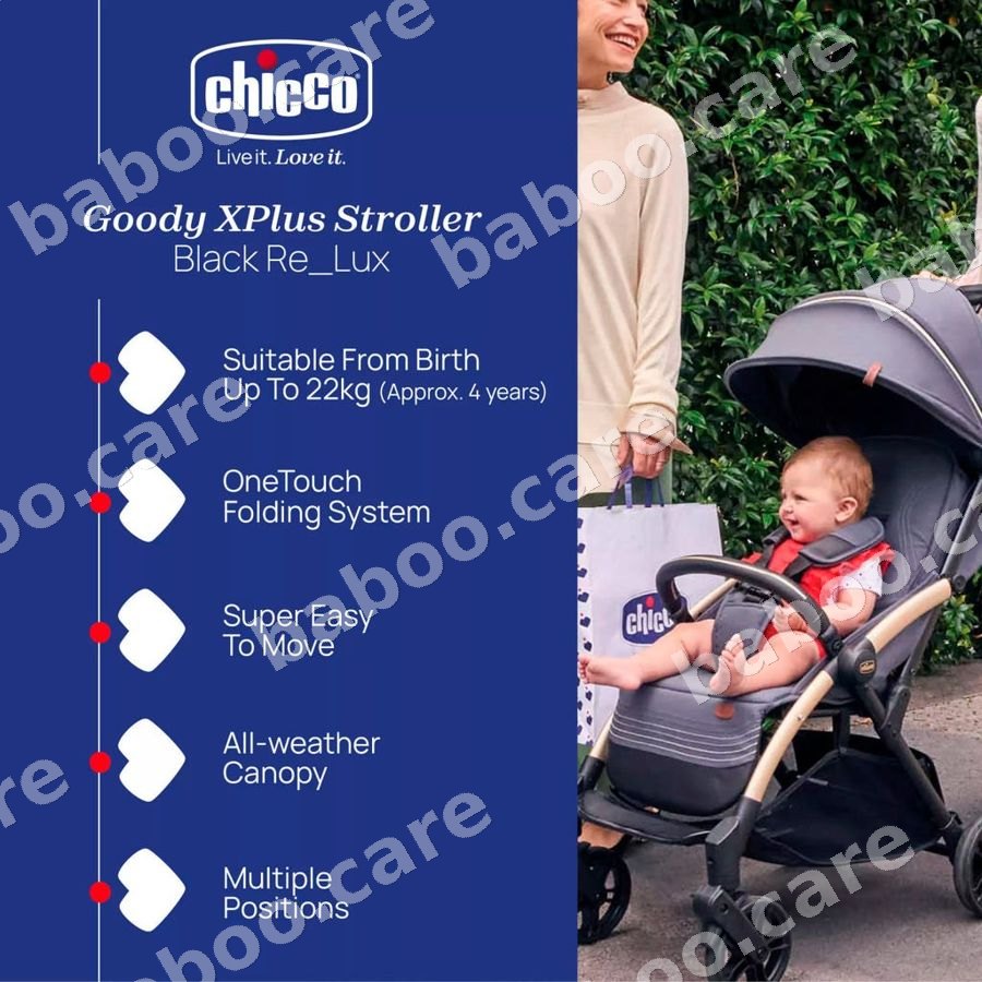 Chicco view 2