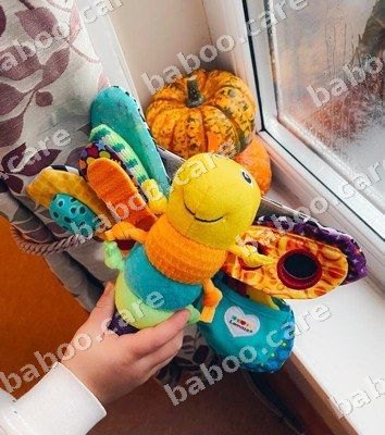 Lamaze view 5
