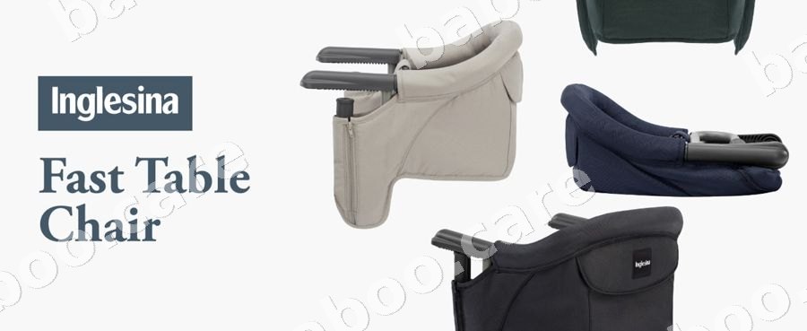 Inglesina view 2