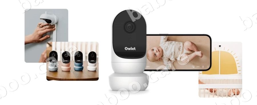 Owlet view 2